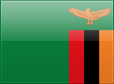 zambie