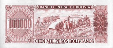 porte-musc chevrotain