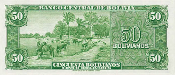 porte-musc chevrotain