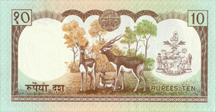 blackbuck
