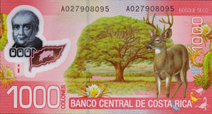 porte-musc chevrotain