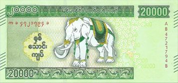 elephant d'asie