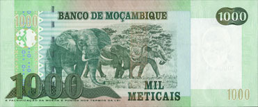 elephants d'afrique