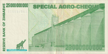 girafe de l'afrique du sud