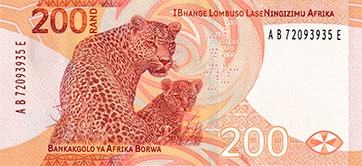 léopards d'afrique