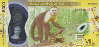 porte-musc chevrotain