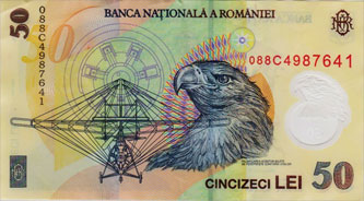 manchot a oeil jaune