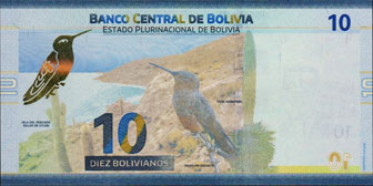 porte-musc chevrotain