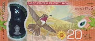 porte-musc chevrotain