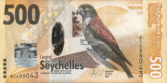 Crécerelle des Seychelles
