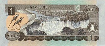 guepier a gorge blanche