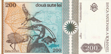 manchot a oeil jaune