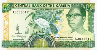 ibis sacré