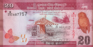 petit-duc de serendip