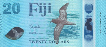 petrel