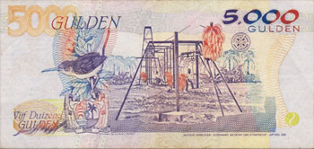 microbate à long bec