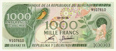 veuve de chapin (Vidua obtusa).