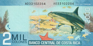 porte-musc chevrotain