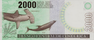 porte-musc chevrotain