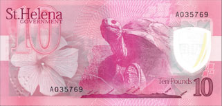 tortue